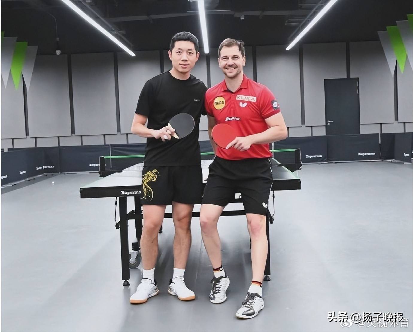 奥地利乒乓球队绝杀韩国乒乓球队,波尔统治全场的简单介绍 奥地利乒乓球队绝杀韩国乒乓球队,波尔统治全场的简单介绍