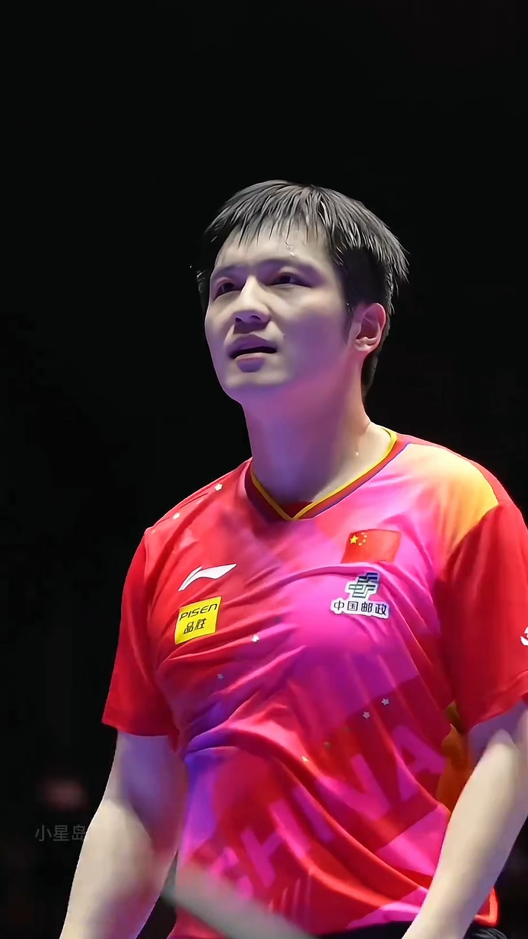 德国乒乓球队逆转中国乒乓球队,樊振东关键制胜的简单介绍 德国乒乓球队逆转中国乒乓球队,樊振东关键制胜的简单介绍