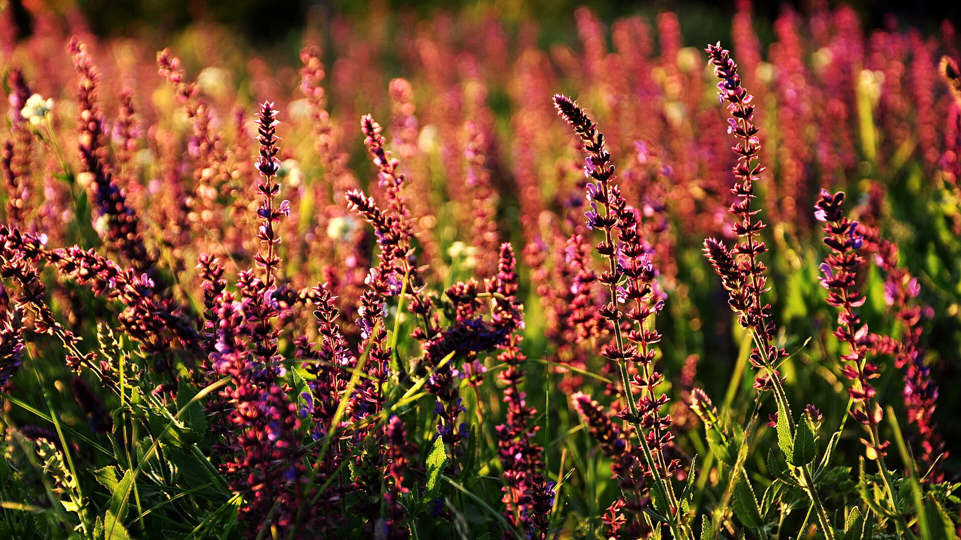 东决关键战之夜,内马尔式稳定输出不掉线的传奇