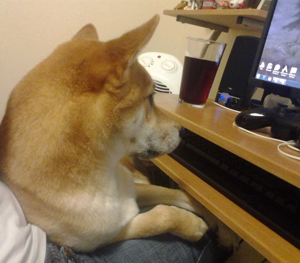 克莱闪耀制胜时刻，森林狼客场碾压上海队迎季前赛大捷