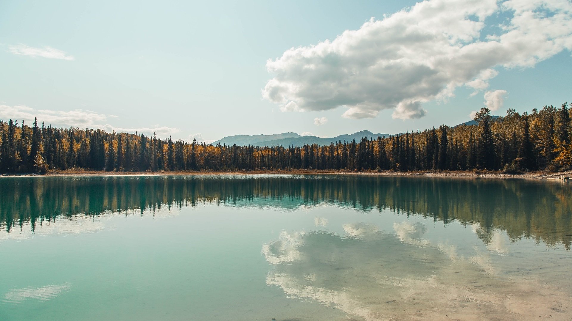 大漠哀歌与草原咆哮,2026美加墨世界杯小组赛史诗夜