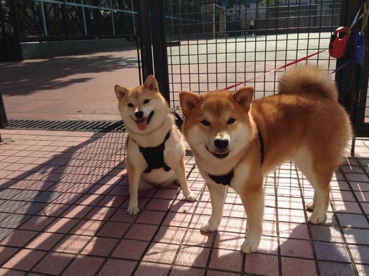 辽吉德比战烽烟再起，拉文狂砍40+上演压制级表演