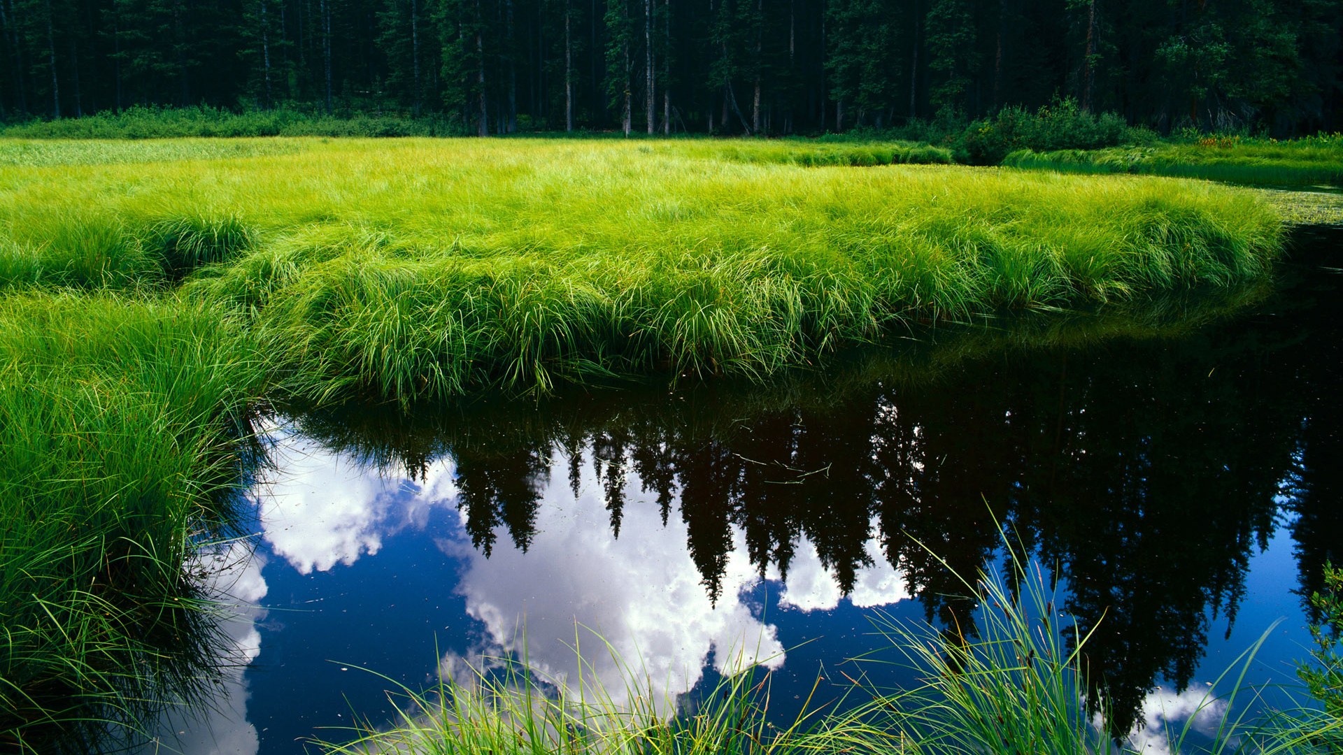 挪威鏖战AC米兰,克瓦拉茨赫利亚的关键先生时刻