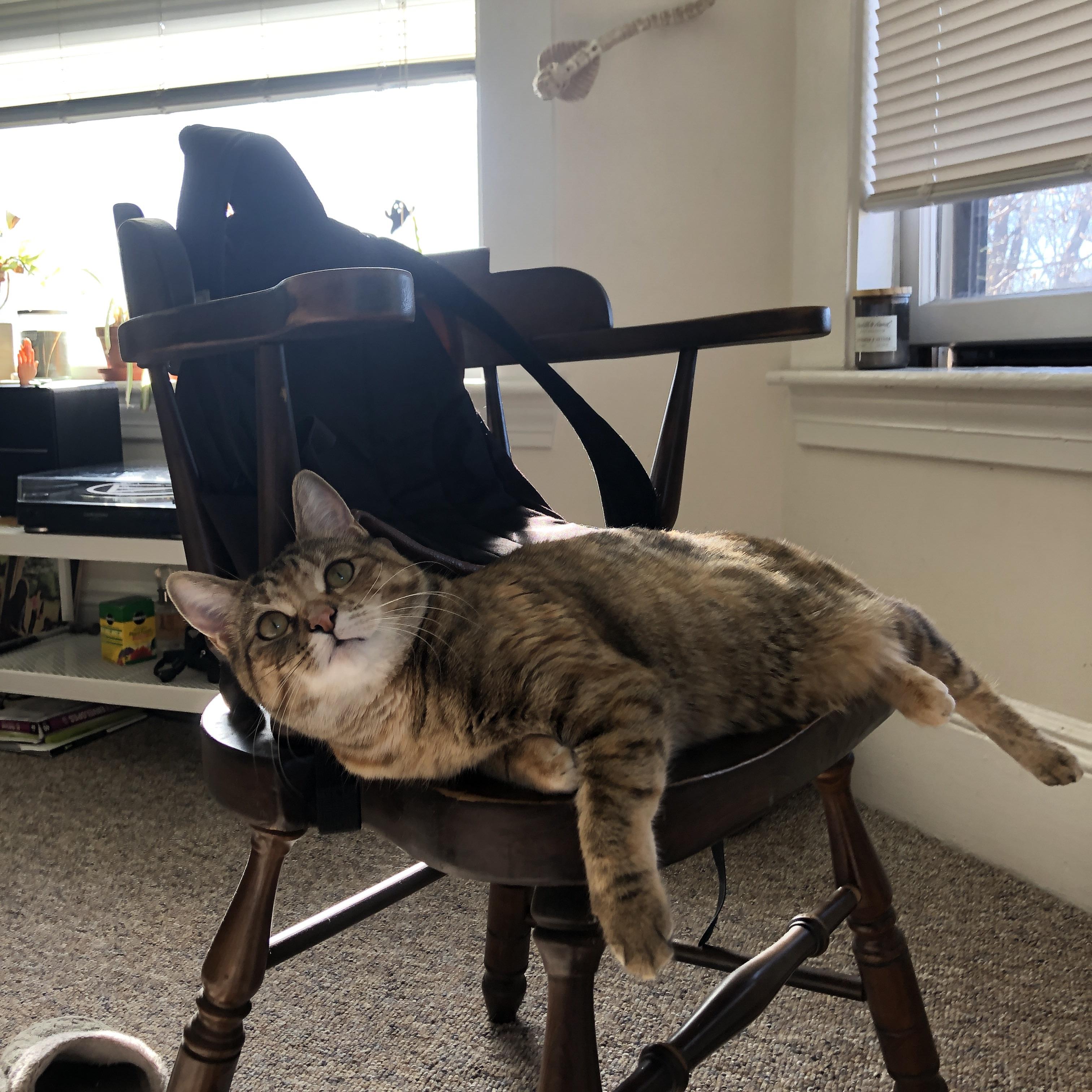 F1街道赛焦点战,韩国车手绝杀希腊对手,街道上的速度与激情