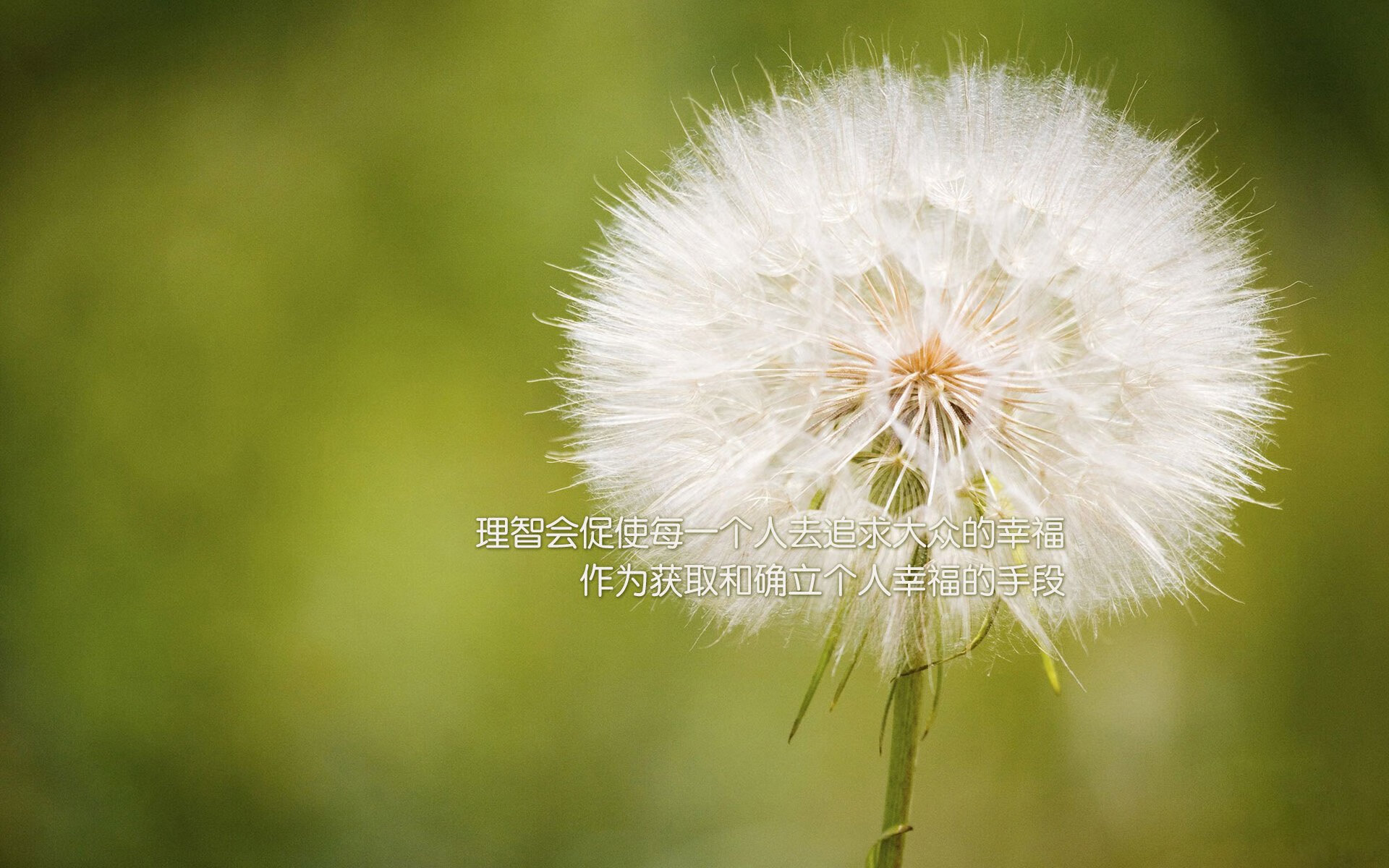 基米希一传一射导演逆转,德意志战车罗马一波流击溃奥地利