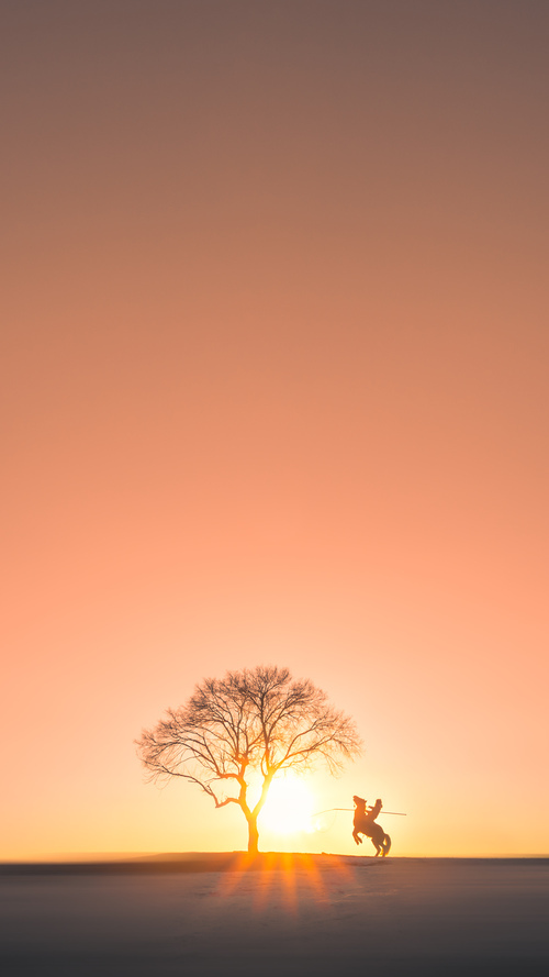 西决生死战之夜，福登个人能力的完美绽放