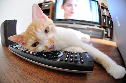 欧冠决赛之夜，拉亚的守门艺术主宰比赛走向