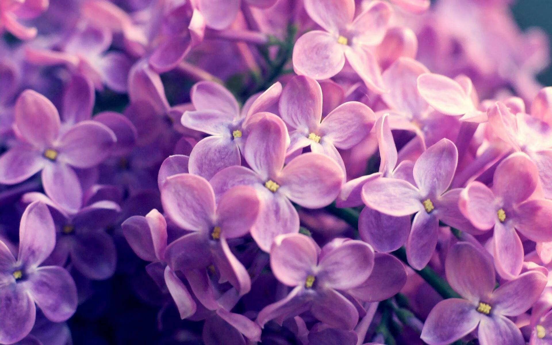 铜墙铁壁！马克西窒息防守锁死对手 魔术争冠战攻克热火主场