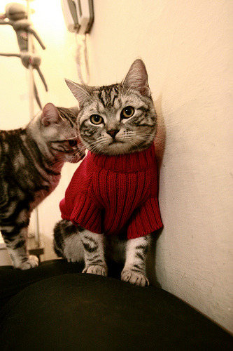 东决锁链,霍勒迪关键战夜,用防守为球队钉上胜局