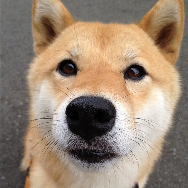 东决锁链,霍勒迪关键战夜,用防守为球队钉上胜局