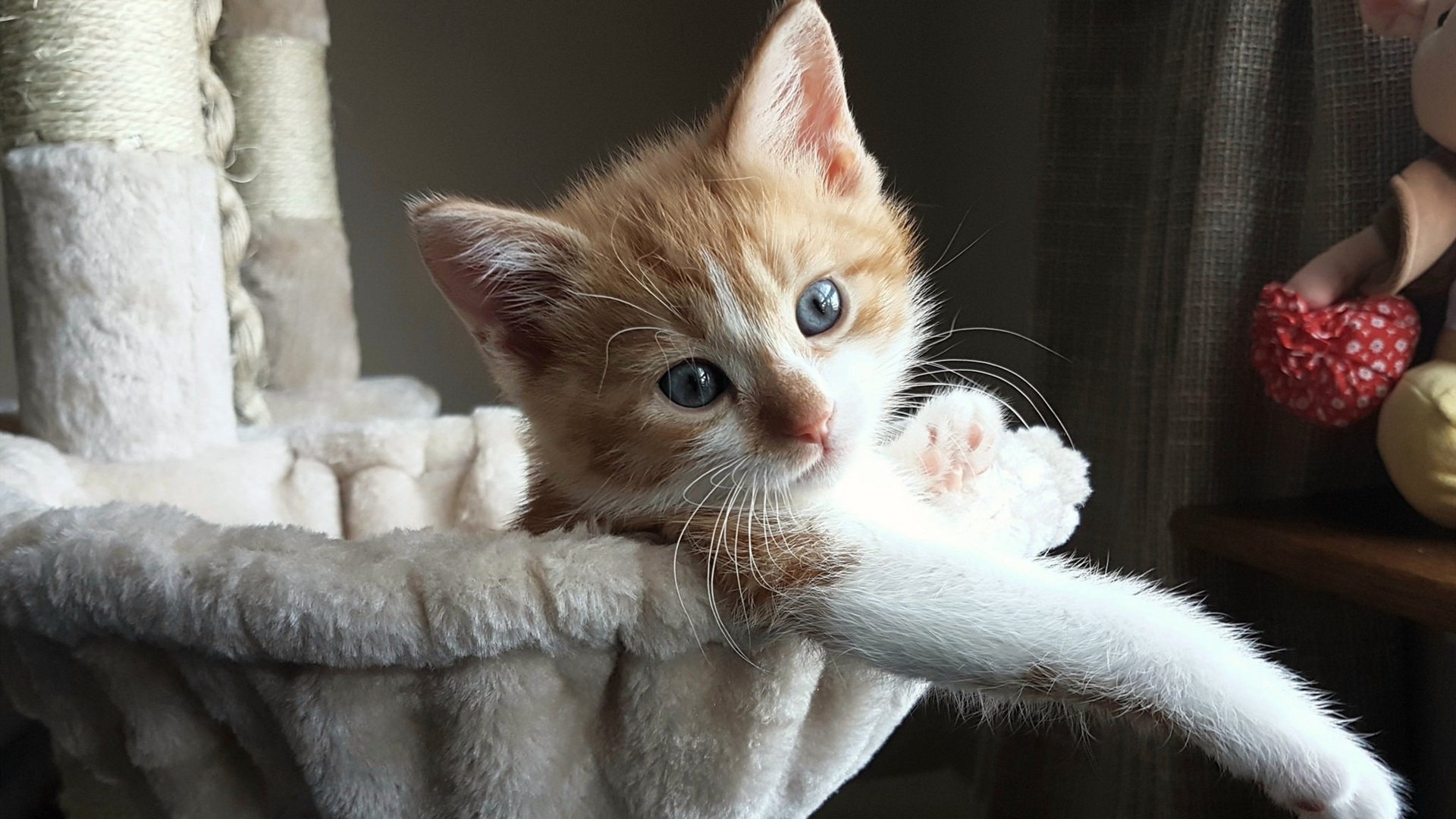 铁血防线冻结北欧风暴！拉齐奥压制冰岛，卡瓦哈尔化身关键先生定胜局