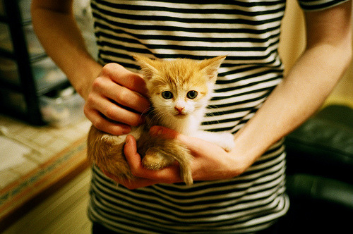 欧冠半决赛焦点战，当篮球场化身绿茵豪门对决，公牛铁蹄踏碎雄鹿王朝之梦